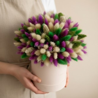 Лагурус и сетария в шляпной коробке